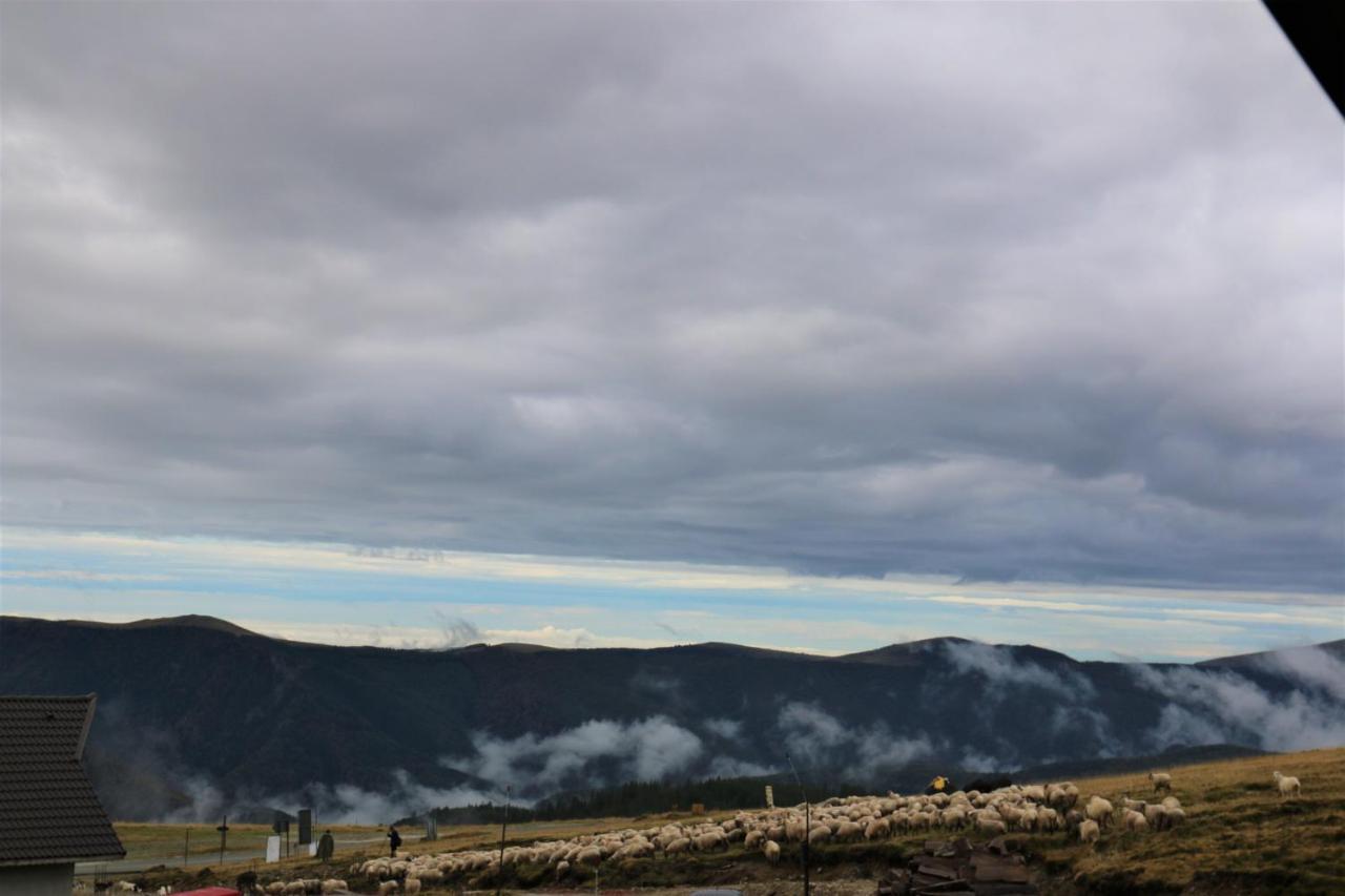 Cabana Transalpina Ranca Bagian luar foto
