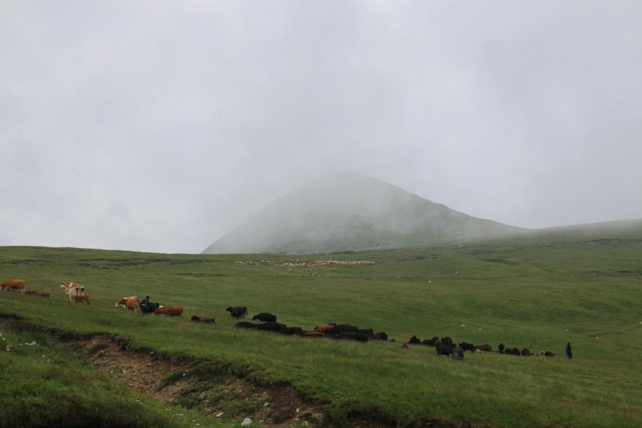 Cabana Transalpina Ranca Bagian luar foto