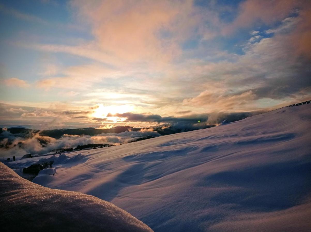 Cabana Transalpina Ranca Bagian luar foto