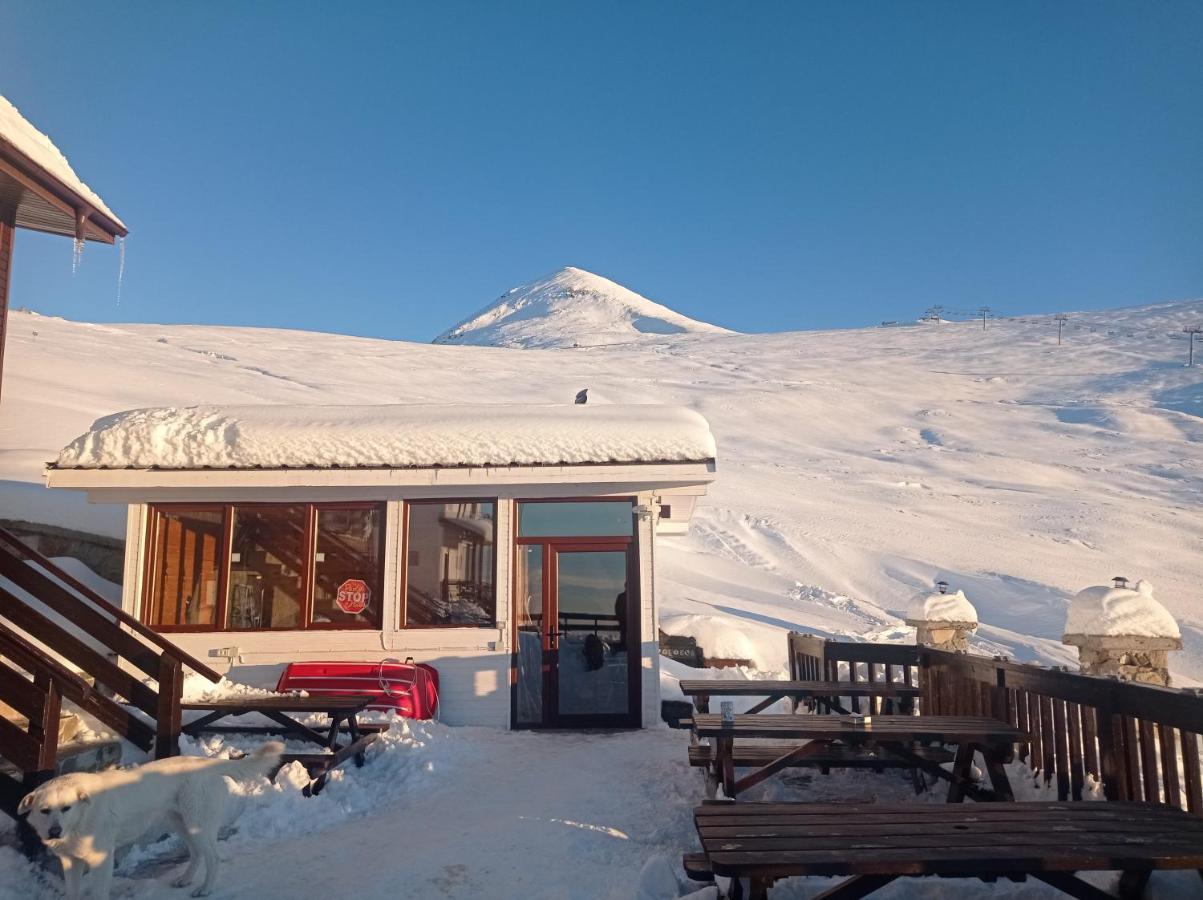 Cabana Transalpina Ranca Bagian luar foto