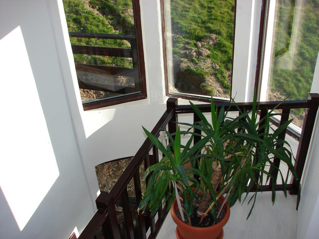 Cabana Transalpina Ranca Bagian luar foto